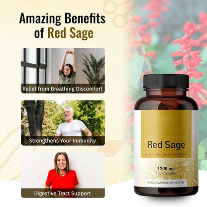 Salvia Miltiorrhiza Red Ginseng Capsule Supplement