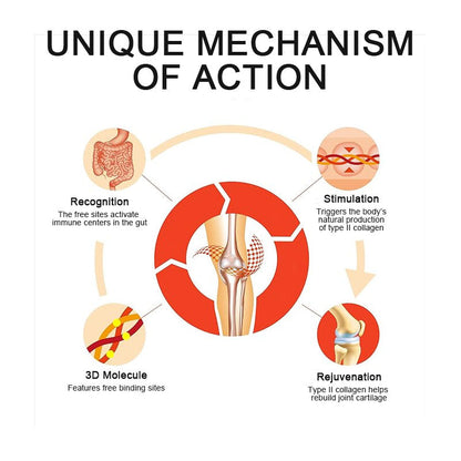 Invontiva Joint Support