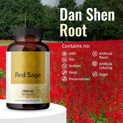 Salvia Miltiorrhiza Red Ginseng Capsule Supplement