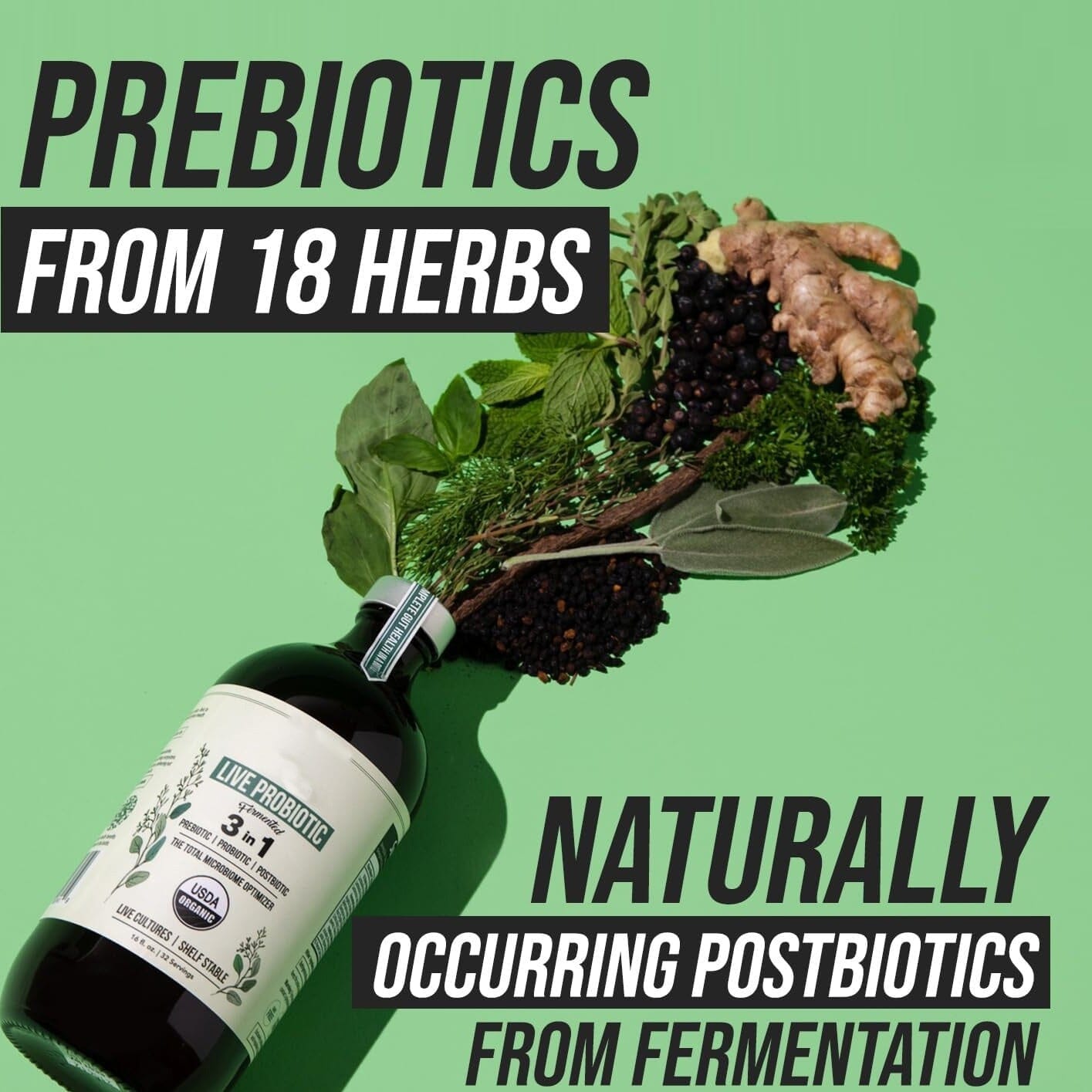Active Probiotics Supplement